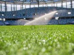 开云体育,资讯,开云体育官网,开云体育官网,KaiYun,Sports,开云体育中国官网,KaiYun,Sports体育平台,开云体育服务