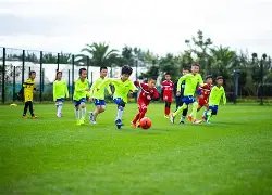 激情对决,维塔尔领航,亚历斯祖压,开云体育官网,KaiYun,Sports,开云体育中国官网,KaiYun,Sports体育平台,开云体育服务