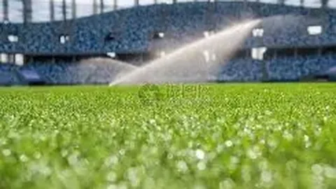 开云体育 资讯 171741 ltz