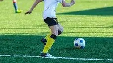 开云体育 资讯 171815 bwo