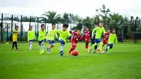 激情对决！维塔尔领航，亚历斯祖压阵，陈威张琳芃勇战柔佛海港巅峰之战即将上演