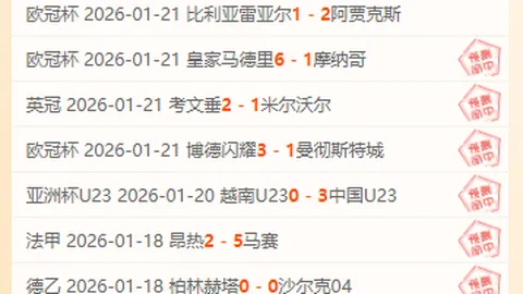 鹈鹕爆冷击败快船，哈登发挥出色仍无法逆转局势